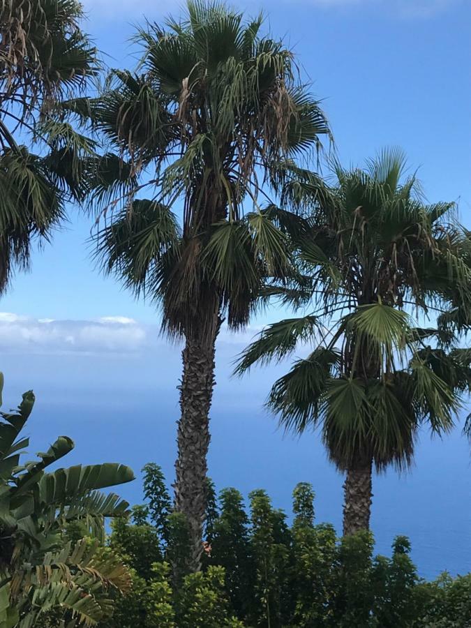 Caleta de InteriánPlaya Bonita公寓 外观 照片